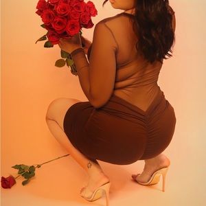 Brown Mesh Back Dress